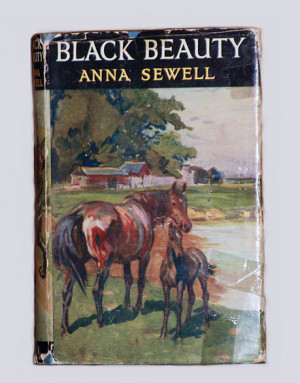 Black Beauty Book Blog