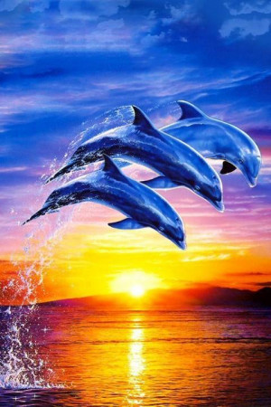 Dolphin Wallpaper 3D FREE - screenshot