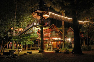 Re: Awesome Treehouses