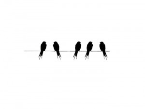 free shopping!Wall Sticker Decal Quote Vinyl Birds On A Wire Cool Wall ...