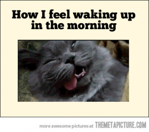 Waking up in the morning