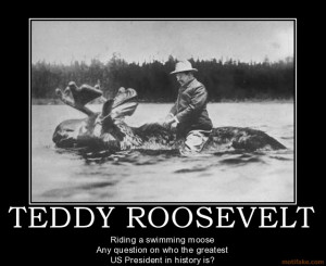 teddy-roosevelt-teddy-roosevelt-demotivational-poster-1258993824.jpg