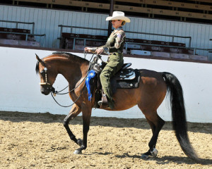 AHASFV Unanimous 1st Western Pleasure AOTR and 1st Western Pl Jr Horse