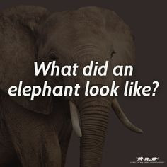 BRILLIANT interactive campaign by AWF Check it out! What did an ...
