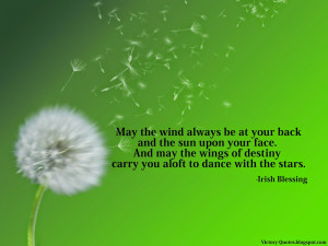 May the wind always be at your back and the sun upon your face. And ...