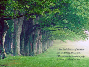 Chronicles 16:33 – Faith Trees Wallpaper Background