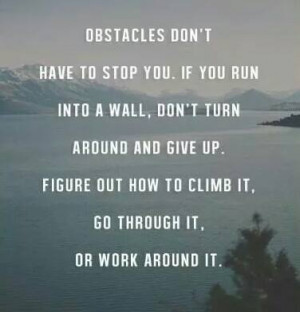 Quotes About Overcoming Odds