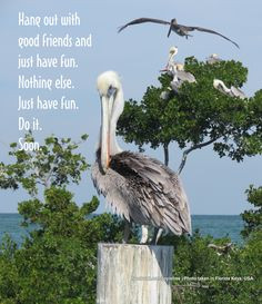 Inspirational Quote: Hang out with good friends and just have fun ...