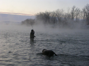... Those Winter Doldrums: A few Quotes on Fly Fishing November 28 2013