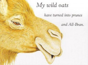 Cute Animals & Quotes - bits-and-pieces Photo