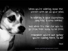 Dog's Prayer for grieving humans | Happiness awaits - I Believe In ...