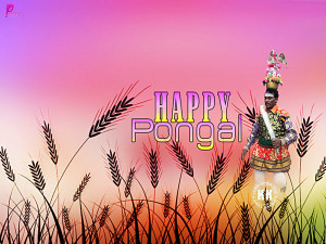 ... Messages Picture Happy Harvest Festival Celebration Pongal South India