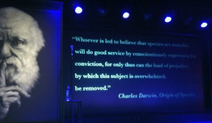 Darwin Quote