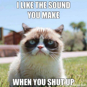 post funny grumpy cat sayings