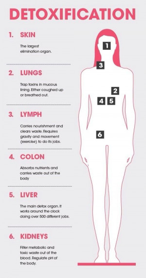 Do You Really Need a Detox Cleanse? Science Says No