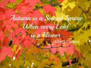 Autumn First Day Of Fall Quotes