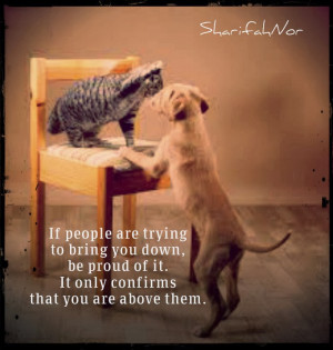 Quotes About People Letting You Down If people are trying to bring