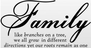 Family Like Branches On A Tree lettering wall sayings home art, Wall ...