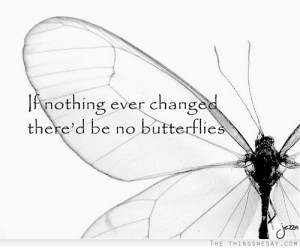 If nothing ever changed there'd be no butterflies