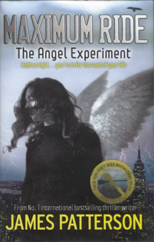 Angel Experiment