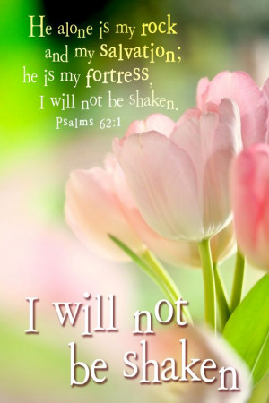 ... is my Rock and my Salvation He is my Fortress, I will not be shaken