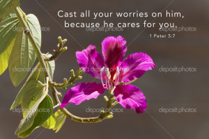 Hibiscus flower with following quote: 