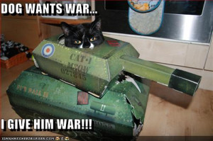 ... knows where usa was under attack by a rouge killer cat in a tank no