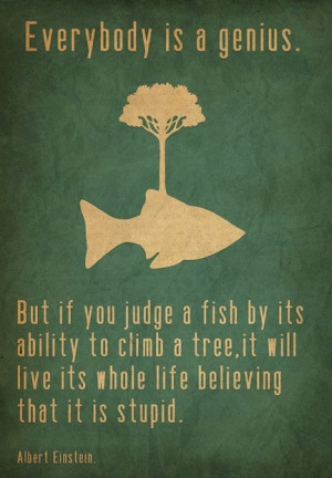 Balancing Expectations and Reality