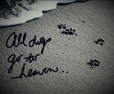 all dogs go to heaven more all dogs go to heaven quotes left paw ...