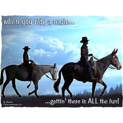 trail_riding_mules_greeting_card.jpg?height=250&width=250&padToSquare ...