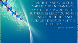 Butterfly quote wallpaper by smilekeeper