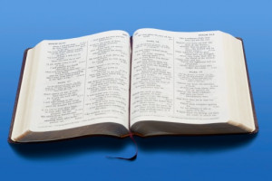 Bible Quotes About Hair