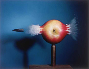 Ori Gersht, “Pomegranate” (2006). Courtesy Noga Gallery of ...