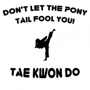 Taekwondo: Pony Tail