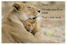 Moms. We take care of our babies. That's what we do. ♥ More ...