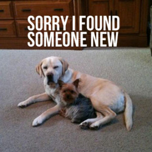 FOR BB USER: point to image, click bb button, select Save Image