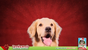 Beethoven Dog Movie Free Download