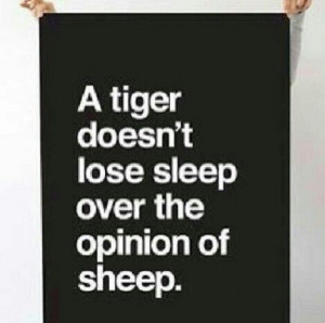 Pinned by Katie Marketello