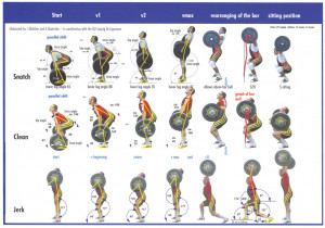 Figure 1: Models of technique for weightlifting (B öttcher/Deutscher ...