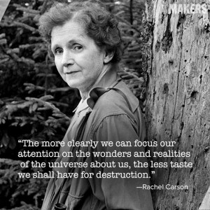 Happy Birthday Rachel Carson