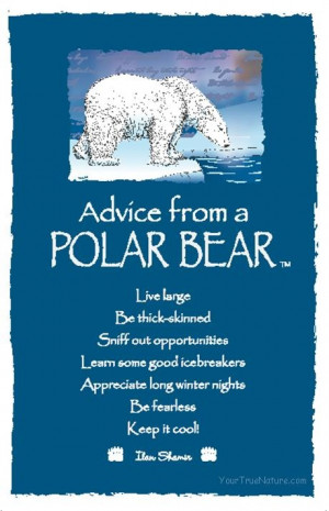 Spirit Totem Animals: #Advice from a #Polar #Bear.