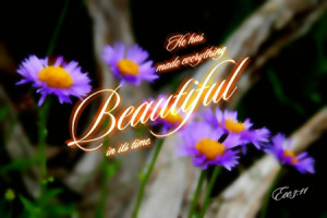 Beautiful - flowers, god, jesus, bible verses, trees, nature, bible ...