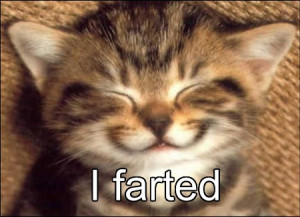 farted