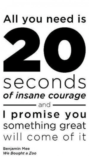 All you need is 20 seconds of insane courage