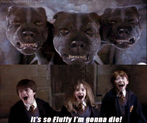 Review of Harry Potter Dogs - Comediva