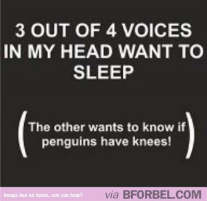 Insomnia Funny Quote Pinterest...