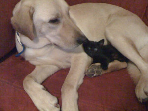 SIGN UP FOR THE NEW UBERHUMOR NEWSLETTER