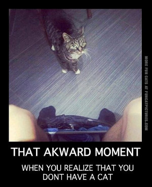 funny-cats-that-awkward-moment-when-you-realize-you-dont-have-a-cat