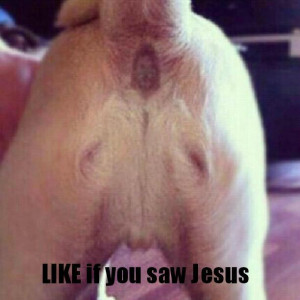 Funny Jesus Image