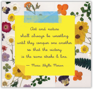 QUOTEABLE: Art vs. Nature by Maria Sibylla Merian